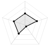 五维质量雷达图