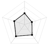 五维质量雷达图