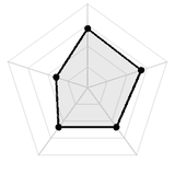 五维质量雷达图