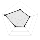 五维质量雷达图