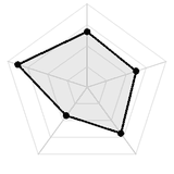 五维质量雷达图