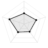 五维质量雷达图