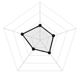 五维质量雷达图