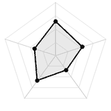 五维质量雷达图
