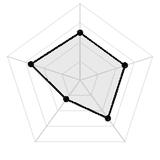 五维质量雷达图