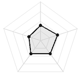 五维质量雷达图