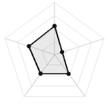 五维质量雷达图