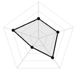 五维质量雷达图