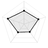 五维质量雷达图