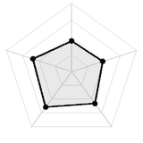 五维质量雷达图