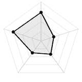 五维质量雷达图