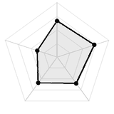 五维质量雷达图