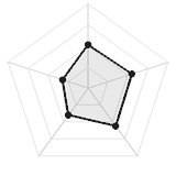 五维质量雷达图