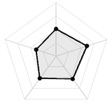 五维质量雷达图