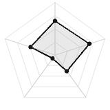 五维质量雷达图