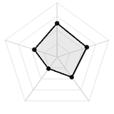 五维质量雷达图