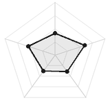 五维质量雷达图