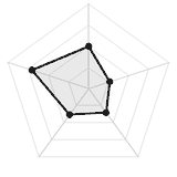 五维质量雷达图