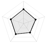 五维质量雷达图