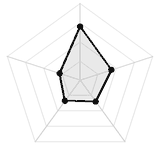 五维质量雷达图