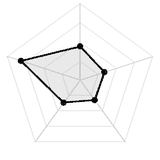 五维质量雷达图