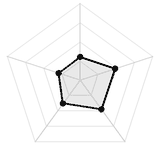 五维质量雷达图