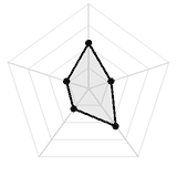 五维质量雷达图