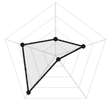 五维质量雷达图