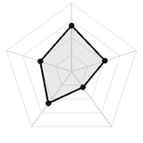 五维质量雷达图