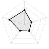 五维质量雷达图