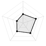五维质量雷达图